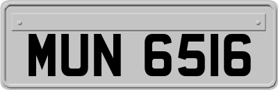 MUN6516