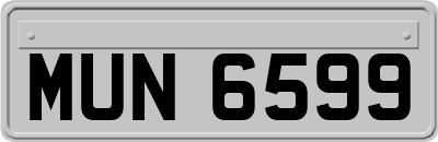 MUN6599