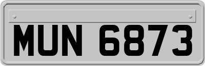 MUN6873