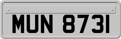 MUN8731