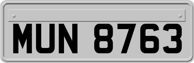 MUN8763