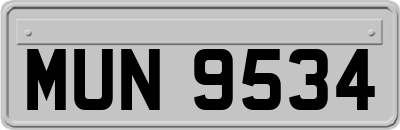 MUN9534