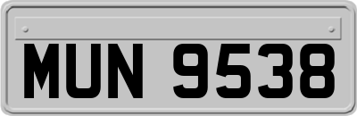 MUN9538