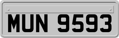 MUN9593