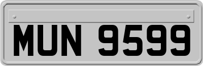 MUN9599