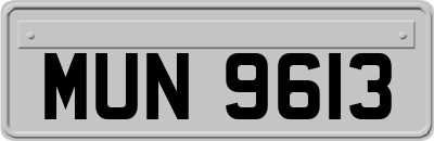 MUN9613