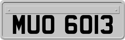 MUO6013