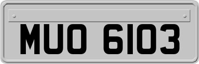 MUO6103