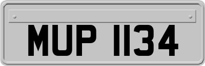 MUP1134