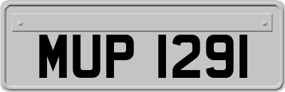 MUP1291