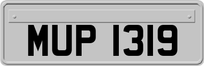 MUP1319