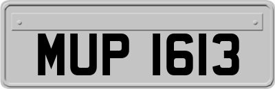 MUP1613