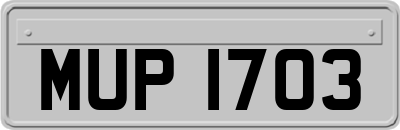 MUP1703