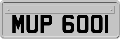 MUP6001