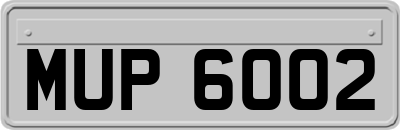 MUP6002