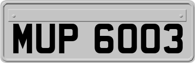 MUP6003