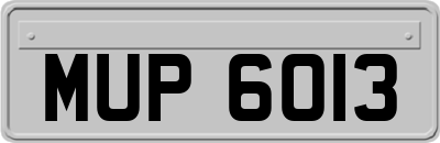 MUP6013