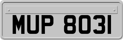 MUP8031