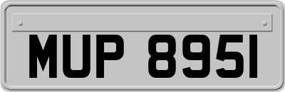 MUP8951