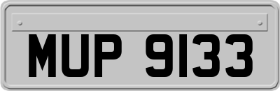 MUP9133