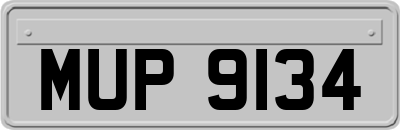 MUP9134