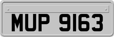 MUP9163