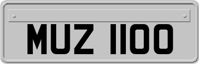 MUZ1100