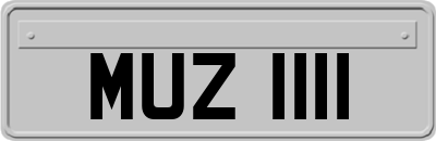 MUZ1111
