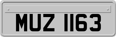 MUZ1163