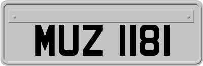 MUZ1181