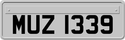 MUZ1339