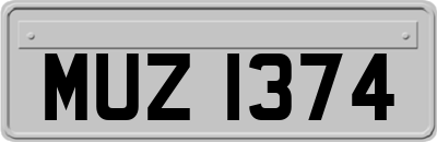 MUZ1374