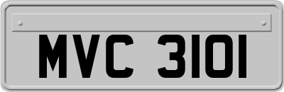 MVC3101