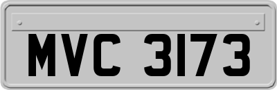 MVC3173