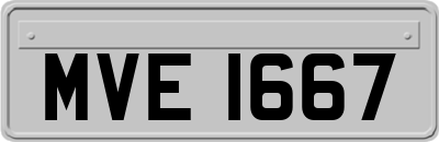 MVE1667