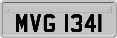 MVG1341