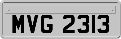MVG2313