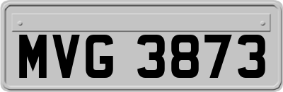 MVG3873