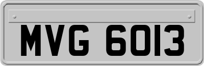 MVG6013