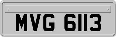 MVG6113