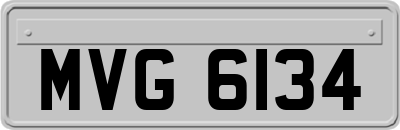 MVG6134