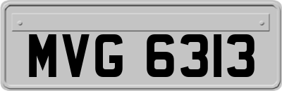 MVG6313