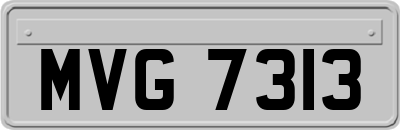 MVG7313