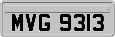 MVG9313