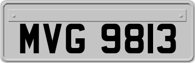 MVG9813