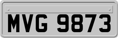 MVG9873