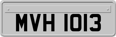 MVH1013