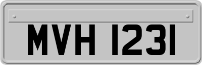 MVH1231