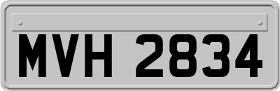 MVH2834