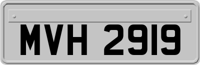 MVH2919
